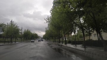 بارش باران، عیدی سقزی ها