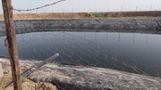 طرح استخر ذخیره آب کشاورزی در فاروج خراسان‌شمالی به بهره‌برداری رسید 