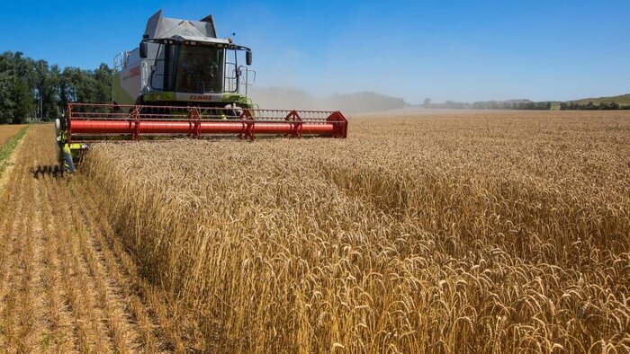 پژواک جنگ اوکراین بر اقتصاد جهان؛ قیمتهای رو به افزایش مواد غذایی در آمریکا
