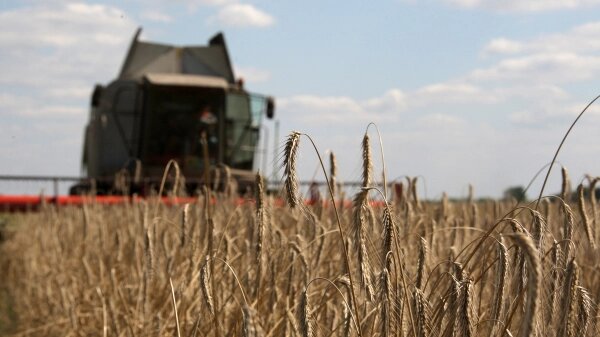 پژواک جنگ اوکراین بر اقتصاد جهان؛ قیمت‌های رو به افزایش مواد غذایی در آمریکا