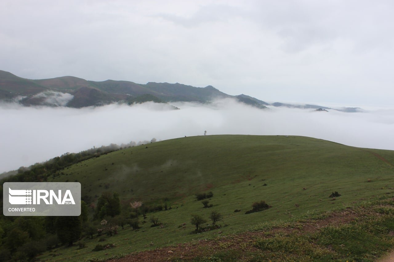 بارش باران و رعد و برق در زنجان تداوم دارد بارش باران و رعد و برق در زنجان تداوم دارد