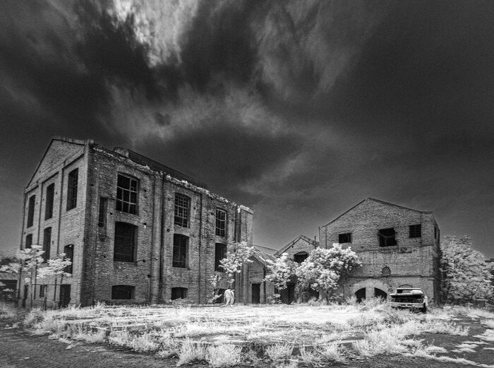 «خوابهای سعدی» در «باغ محصور»