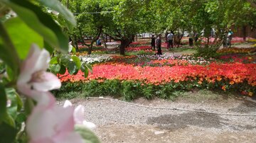 Festival des tulipes à Karaj près de Téhéran 