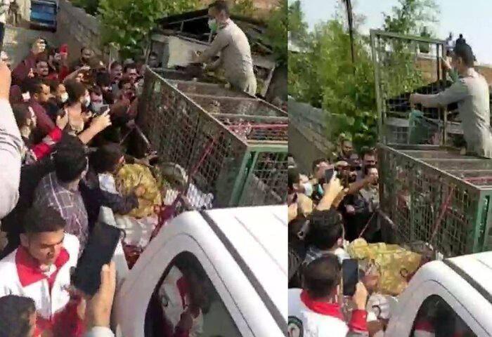 موبایل ها جان گیرند