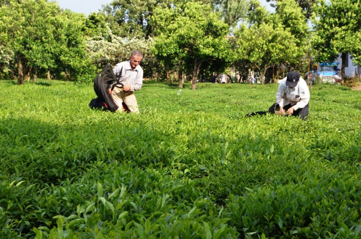 گیلان از بازگشت آرامش در بازار تا افتتاح سرمایه گذاری ۳۴۷ میلیاردی در منطقه آزاد انزلی