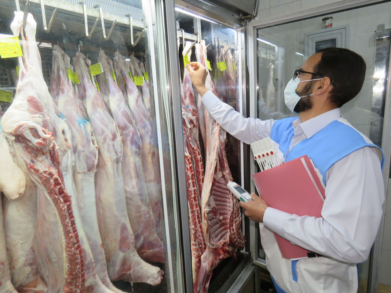 ۸۹ تیم دامپزشکی در اصفهان بر ذبح دام‌های عید قربان نظارت می‌کنند