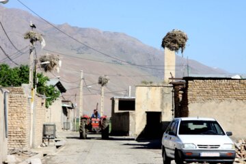 کپرجودکی روستای لک لک ها در بروجرد