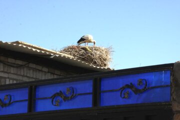 کپرجودکی روستای لک لک ها در بروجرد