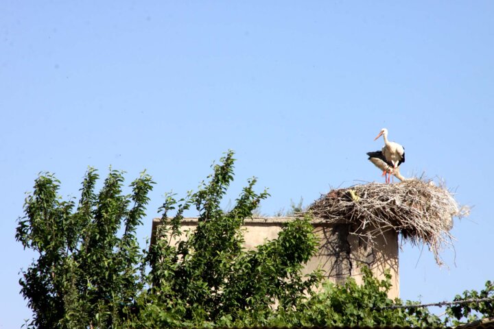 وجود ۹ روستای دارای قابلیت هدف گردشگری در بروجرد