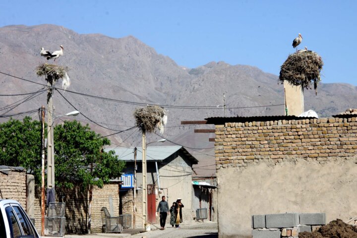 روستای لک‌لک‌های بروجرد جذابیتی برای گردشگران 