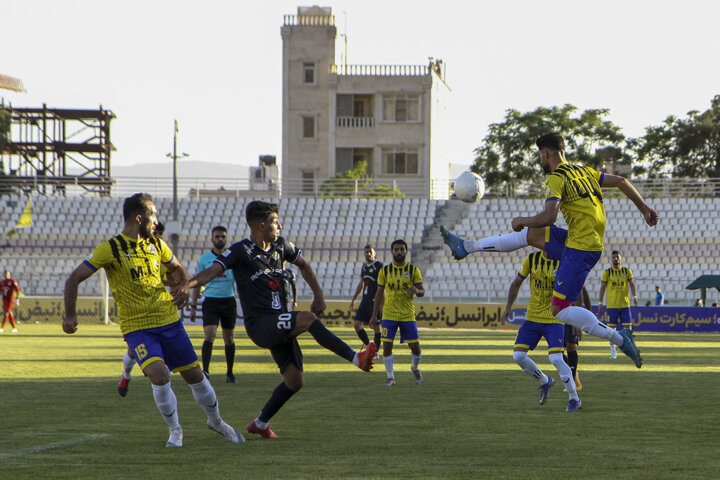 سایه روشن های ورزش فارس در سال ۱۴۰۱ ، از سقوط فجر تا طلای گرگ ایرانی