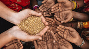 بحران جهانی مواد غذایی؛ چاره چیست؟   