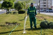 آیا صدای کارگران فضای سبز شیراز شنیده می‌شود؟