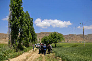 بازدید مجری طرح خودکفایی گندم وزارت جهاد کشاورزی از مزارع خراسان شمالی