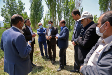 بازدید مجری طرح خودکفایی گندم وزارت جهاد کشاورزی از مزارع خراسان شمالی