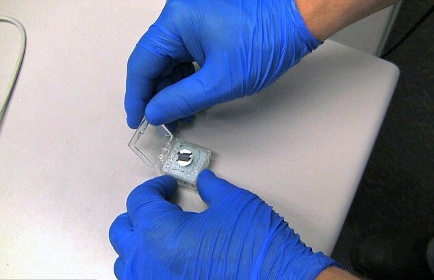 انگلیسها انجیلی در ابعاد یک سکه کشف کردند/ کشف انجیلی که اندازه یک سکه است