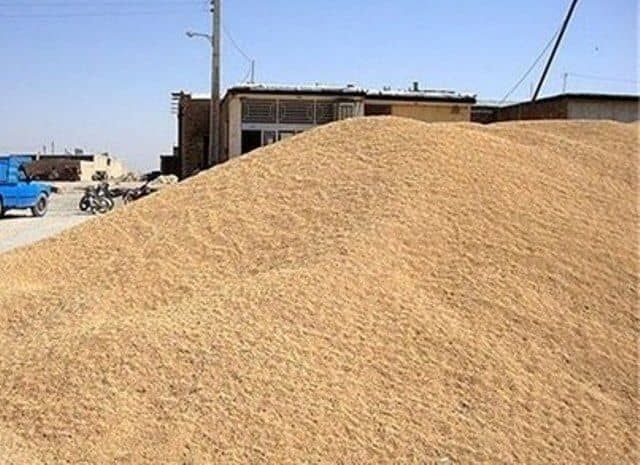 ۴۰ تن گندم احتکاری در شهرستان کبودرآهنگ کشف و ضبط شد