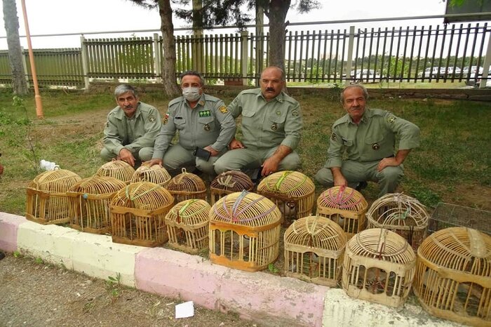 انهدام باند خرید و فروش کبک و چند خبر کوتاه دیگر از محیط زیست کردستان