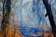 هشدار منابع‌طبیعی استان سمنان نسبت به خطر آتش سوزی در مراتع و جنگلها