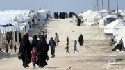 ۵۰۰ خانواده داعشی اردوگاه الهول سوریه وارد الجدعه عراق شدند