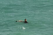  جوان ۳۰ ساله در رودخانه دز غرق شد