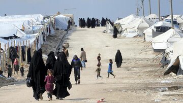 ۵۰۰ خانواده داعشی اردوگاه الهول سوریه وارد الجدعه عراق شدند