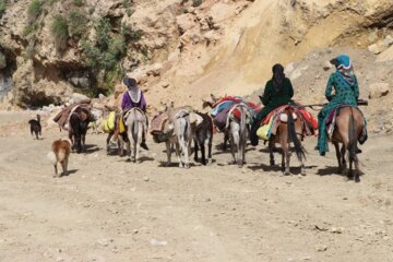مرمت ایلراه منار توسط گروه جهادی شهید سید حمید تقوی فر