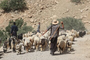 مرمت ایلراه منار توسط گروه جهادی شهید سید حمید تقوی فر