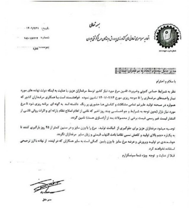 افزایش تقاضا برای مرغ مشکلساز شد