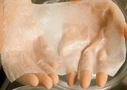 پوست مصنوعی ایرانی به کمک پروانهایها میآید