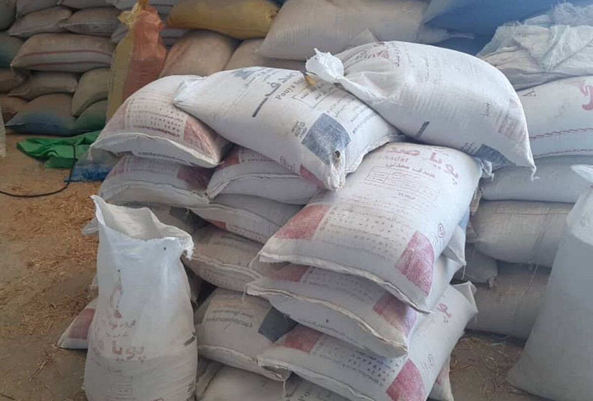 شناسایی چهار انبار غیرمجاز محصولات کشاورزی در خراسان جنوبی شناسایی چهار انبار غیرمجاز محصولات کشاورزی در خراسان جنوبی