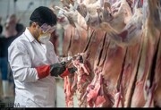  تقدیر از «سوت‌زن» پرونده کشتار و فروش گوشت غیرمجاز 