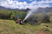 عملیات مبارزه با آفت جوانه خوار بلوط در سروآباد آغاز شد