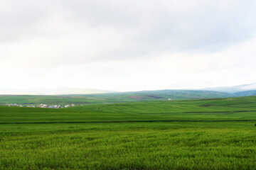 طبیعت بهاری تفرجگاه فندقلو نمین در استان اردبیل 5