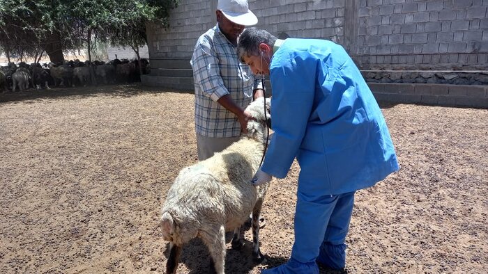 رزمایش خدمت جهادگران در مناطق کم برخوردار دشتستان