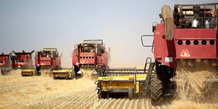 بحران جهانی مواد غذایی؛ روسیه صادرات محصولات کشاورزی را افزایش می دهد