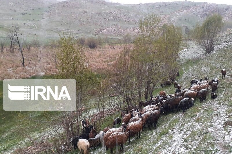 پیش‌بینی بارش برف در ارتفاعات آذربایجان‌شرقی 
