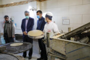 روند پخت نان در هزار نانوایی چهارمحال و بختیاری مورد بازرسی قرار گرفت