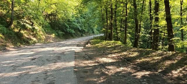 جاده اسالم به خلخال؛ مسیری رویایی اما دردناک