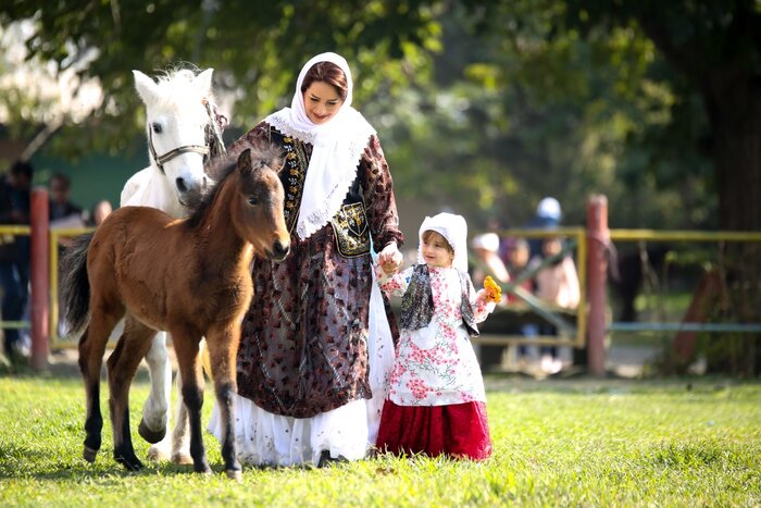 کاسپین اسب اصیل ایرانی در خطر انقراض
