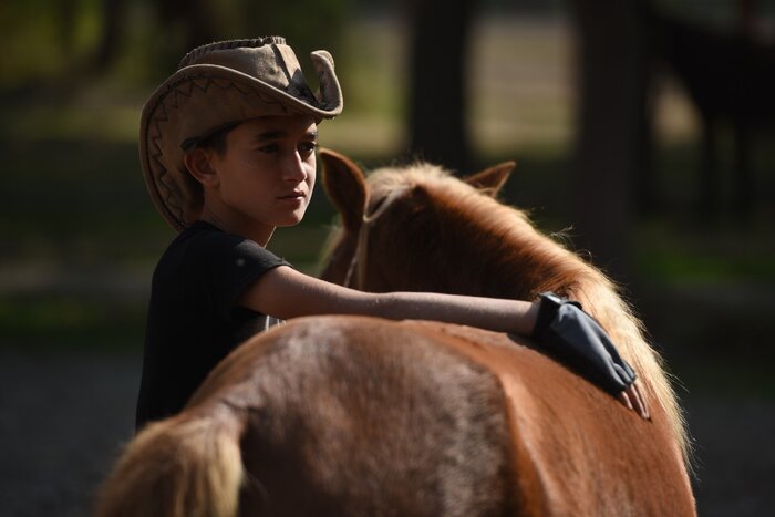کاسپین اسب اصیل ایرانی در خطر انقراض
