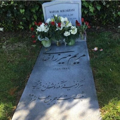 الايرانية "مريم ميرزا خاني" عبقرية علم الرياضيات