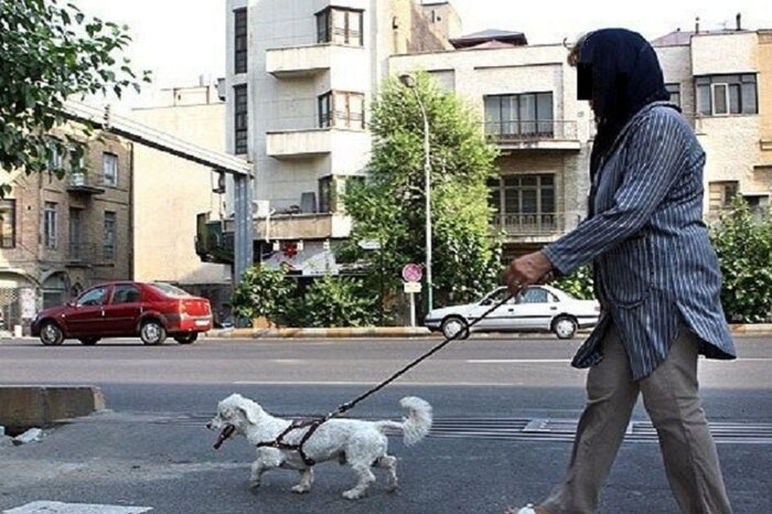 چند فریم با جسد حیوان خانگی، چند هزار دنبال‌کننده