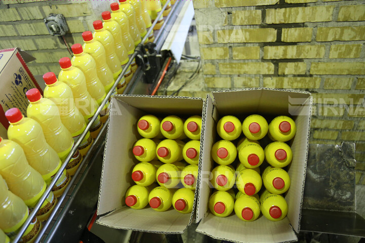 صنایع راکد کرمان در اولویت حمایت دولت/ واحدهای صنعتی چه مشکلاتی دارند؟