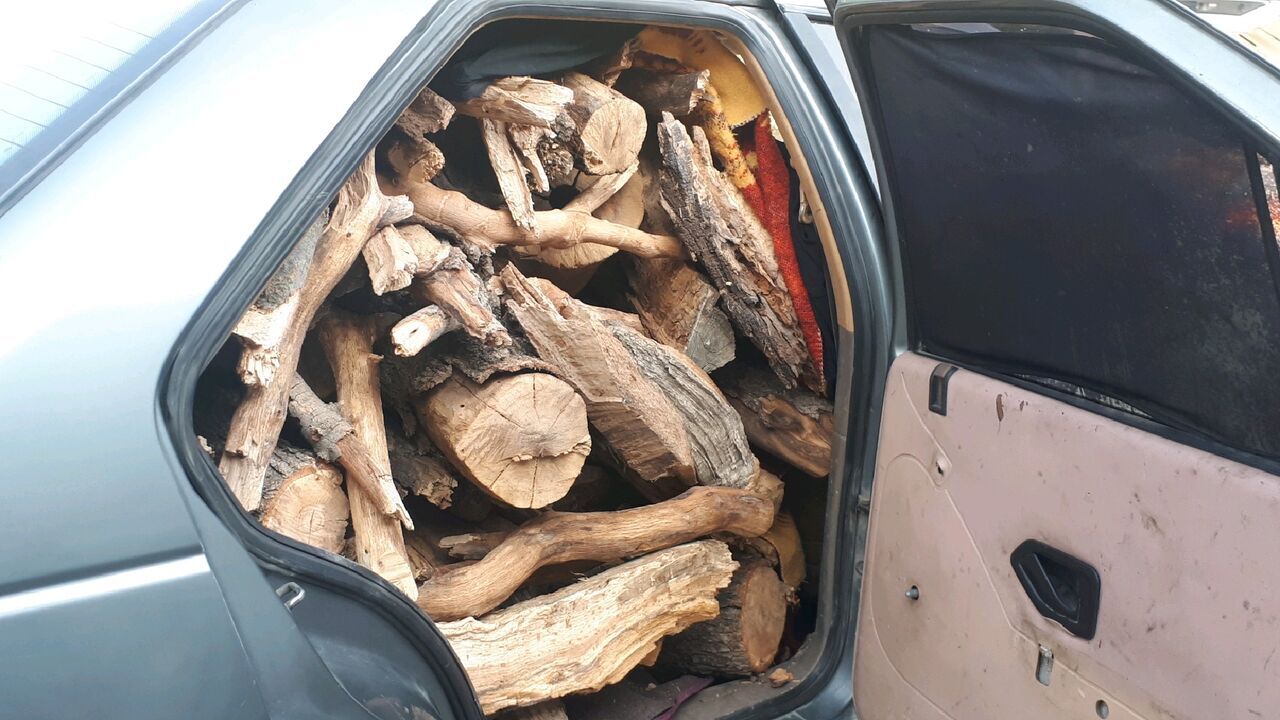 ۳ تن چوب قاچاق در گچساران کشف شد ۳ تن چوب قاچاق در گچساران کشف شد