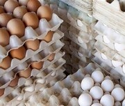 قیمت تخم‌مرغ شانه‌ای ۷۰ تا ۷۵ هزار تومان است/ انتشار قیمت غیرواقعی در برخی رسانه‌ها