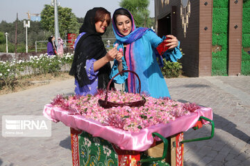 Iran : Fête des roses à Téhéran