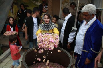 مراسم گلاب گیری در سمنان