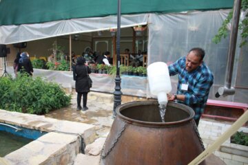 مراسم گلاب گیری در سمنان