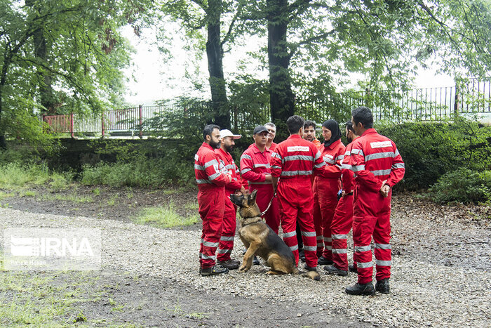 برگزاری دورههای بینالمللی برای سرمربیان و سگهای زنده یاب هلال احمر